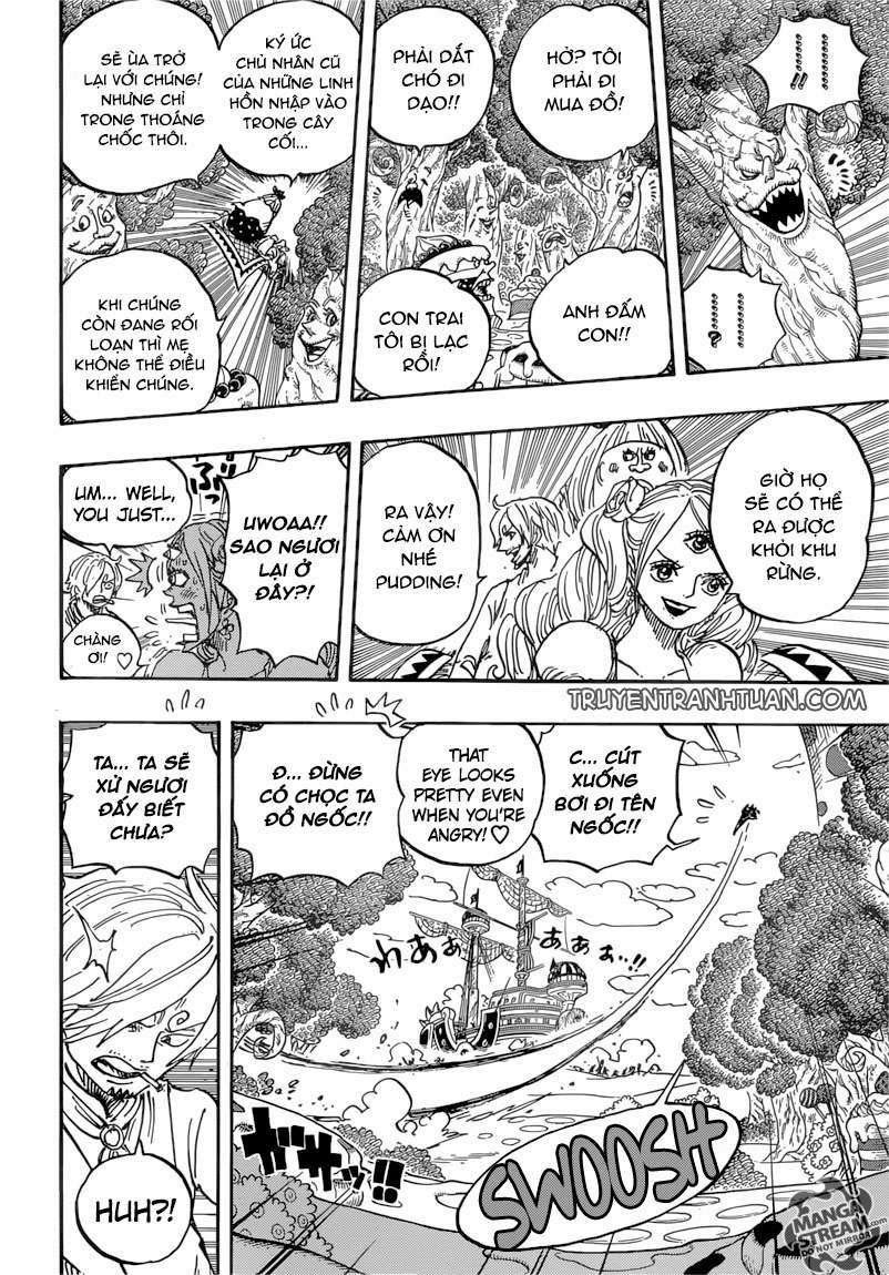 One Piece 876 trang 13