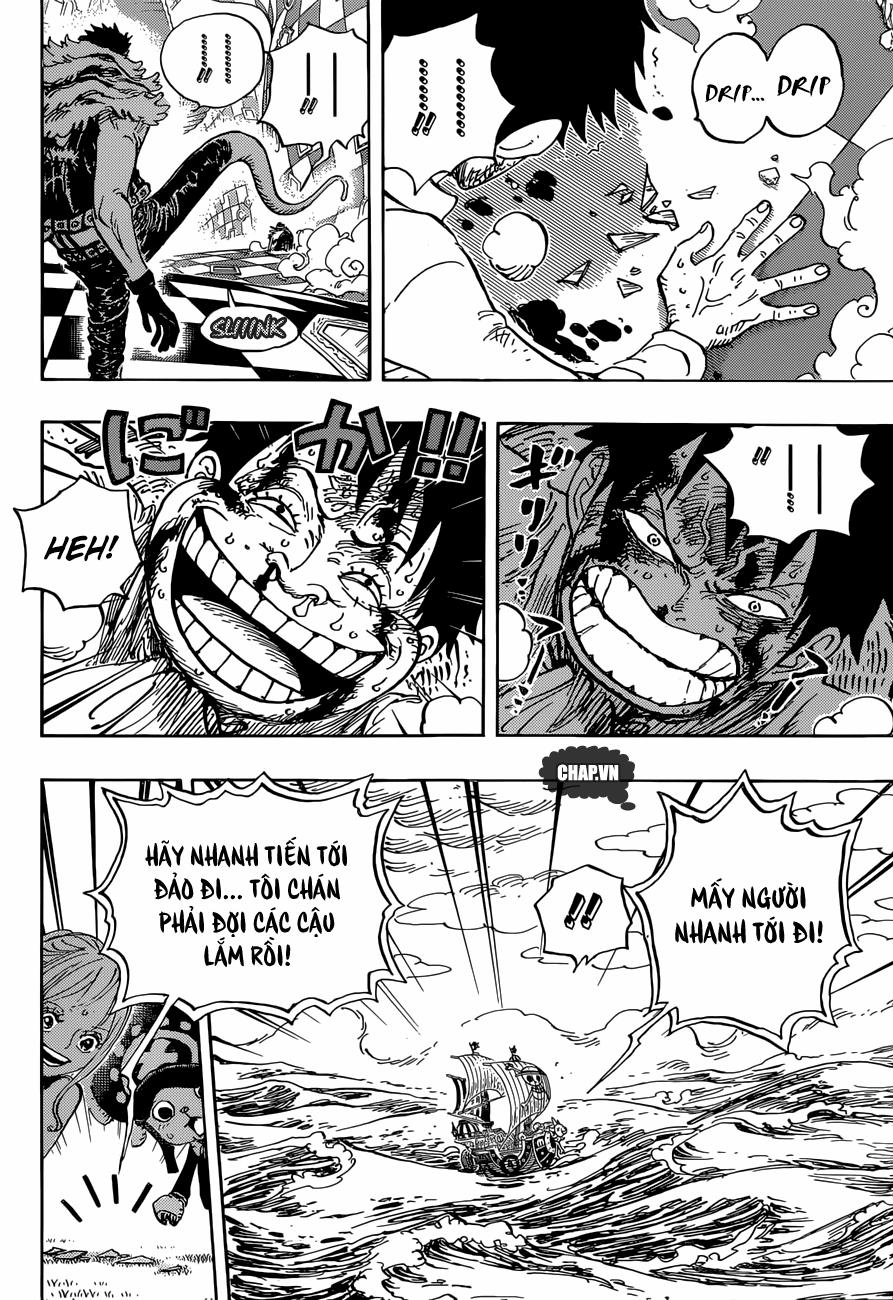 One Piece 881 trang 13