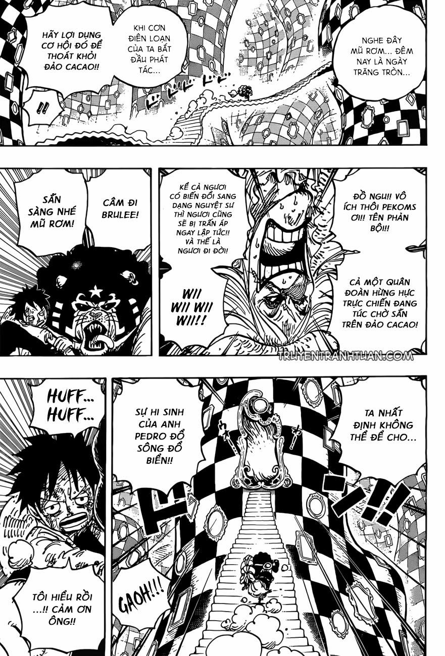One Piece 897 trang 3