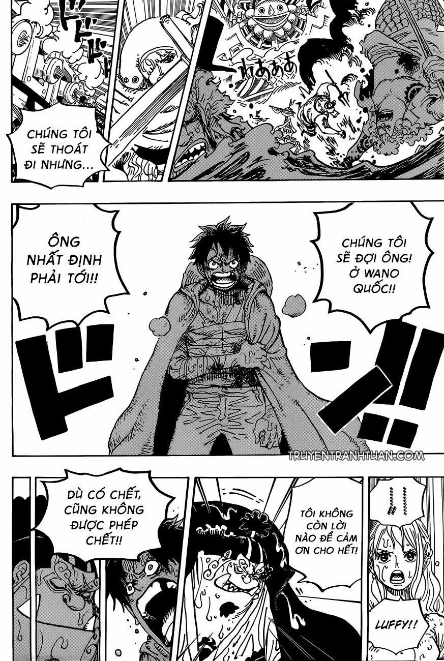 One Piece 901 trang 12