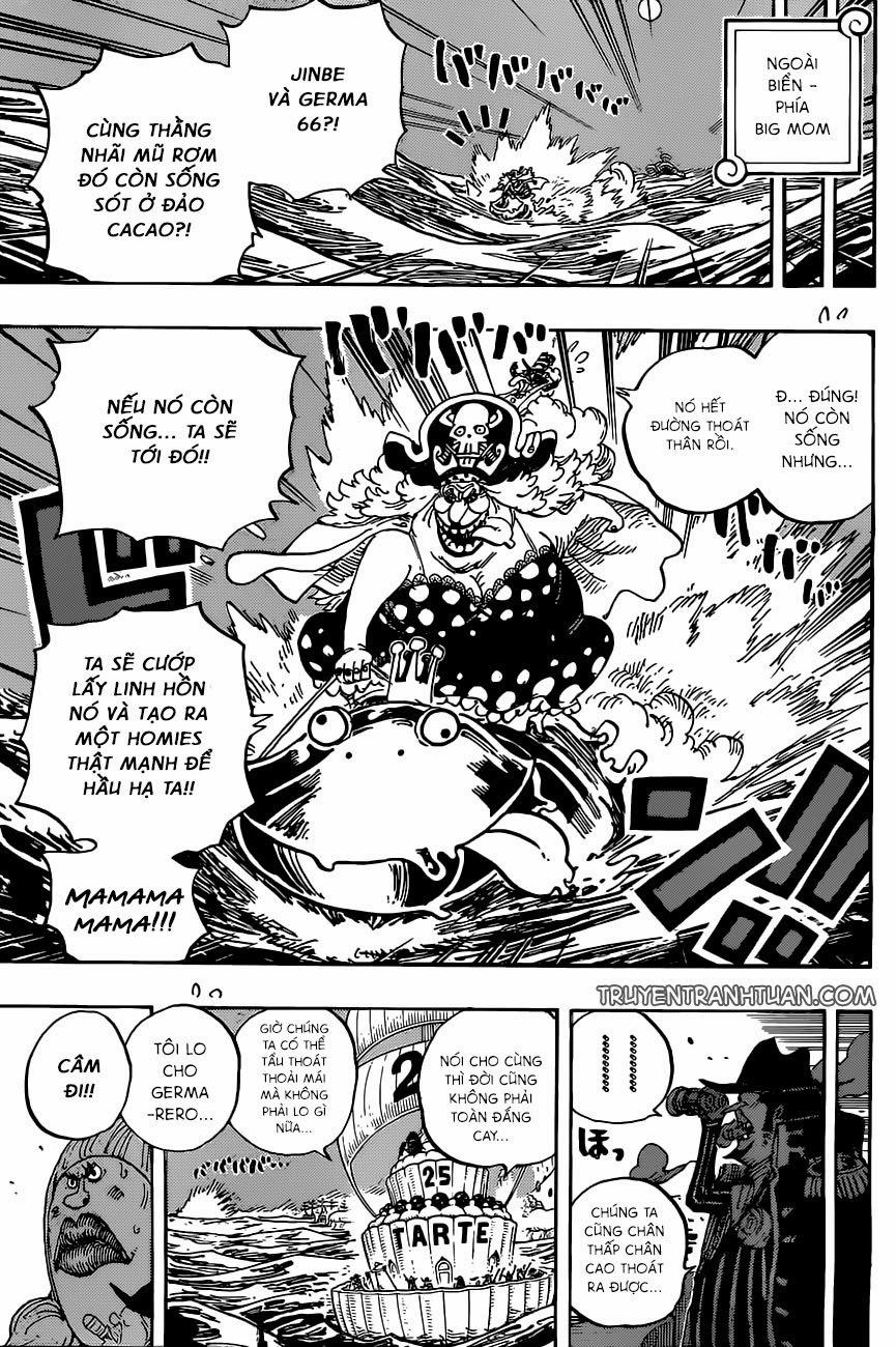 One Piece 901 trang 13