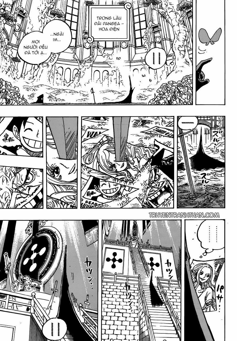 One Piece 908 trang 11