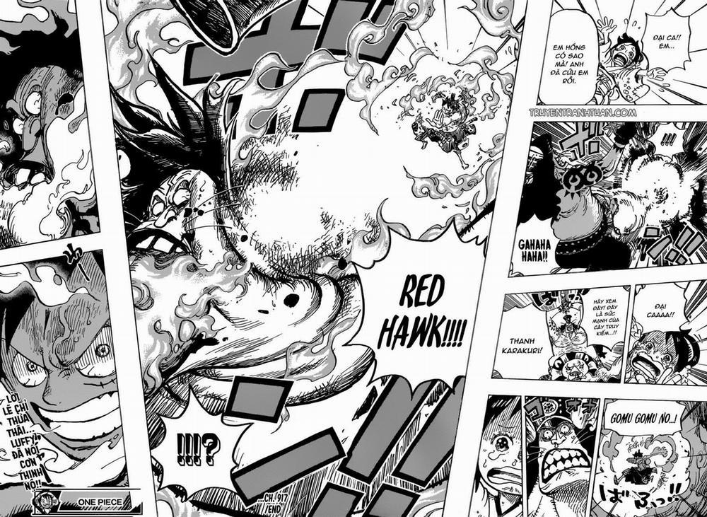 One Piece 917 trang 14