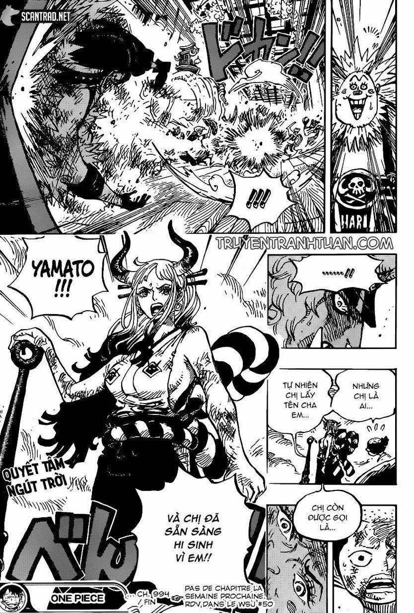 One Piece 994 trang 14