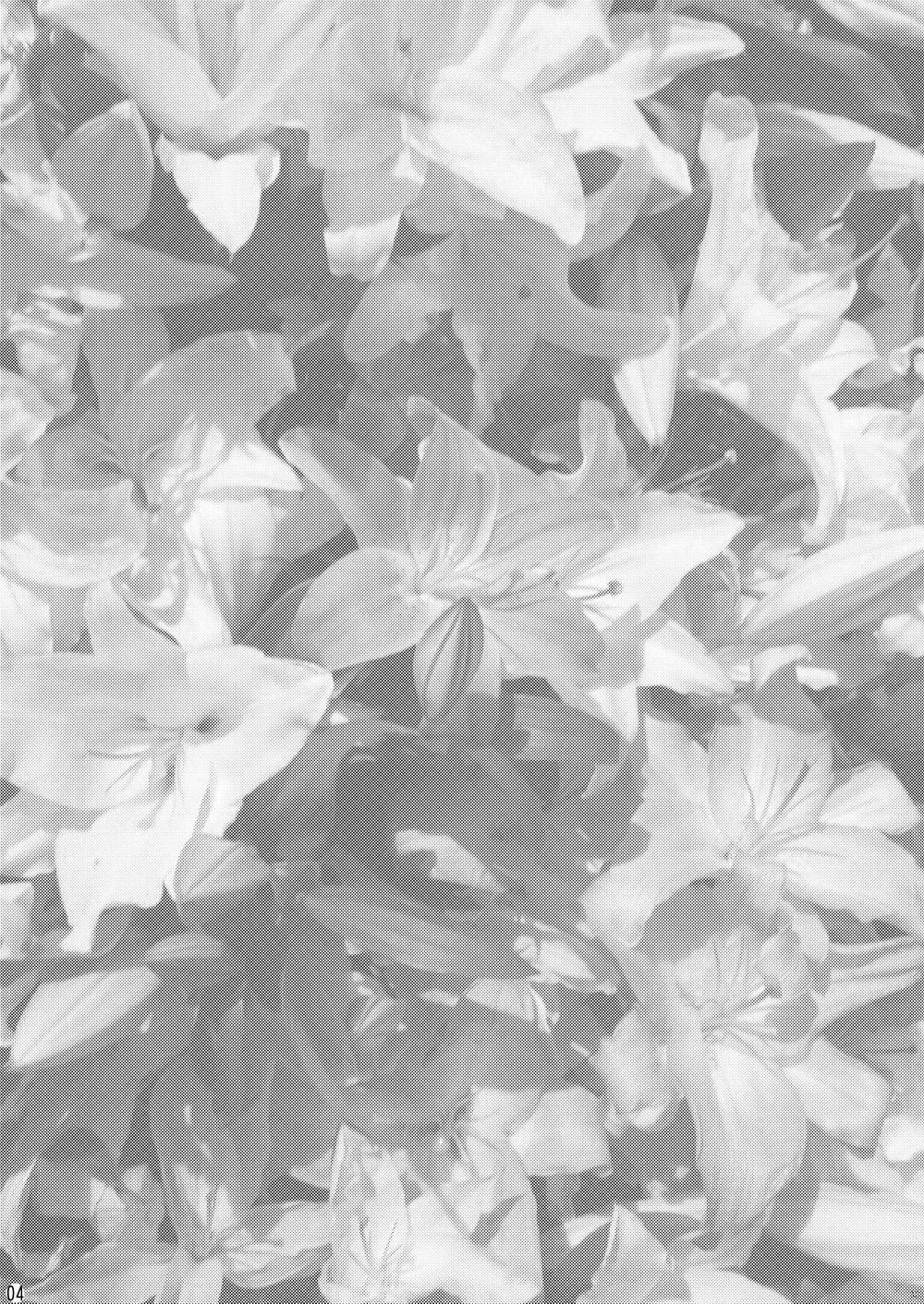 Oneshot mặt chát 4 trang 2