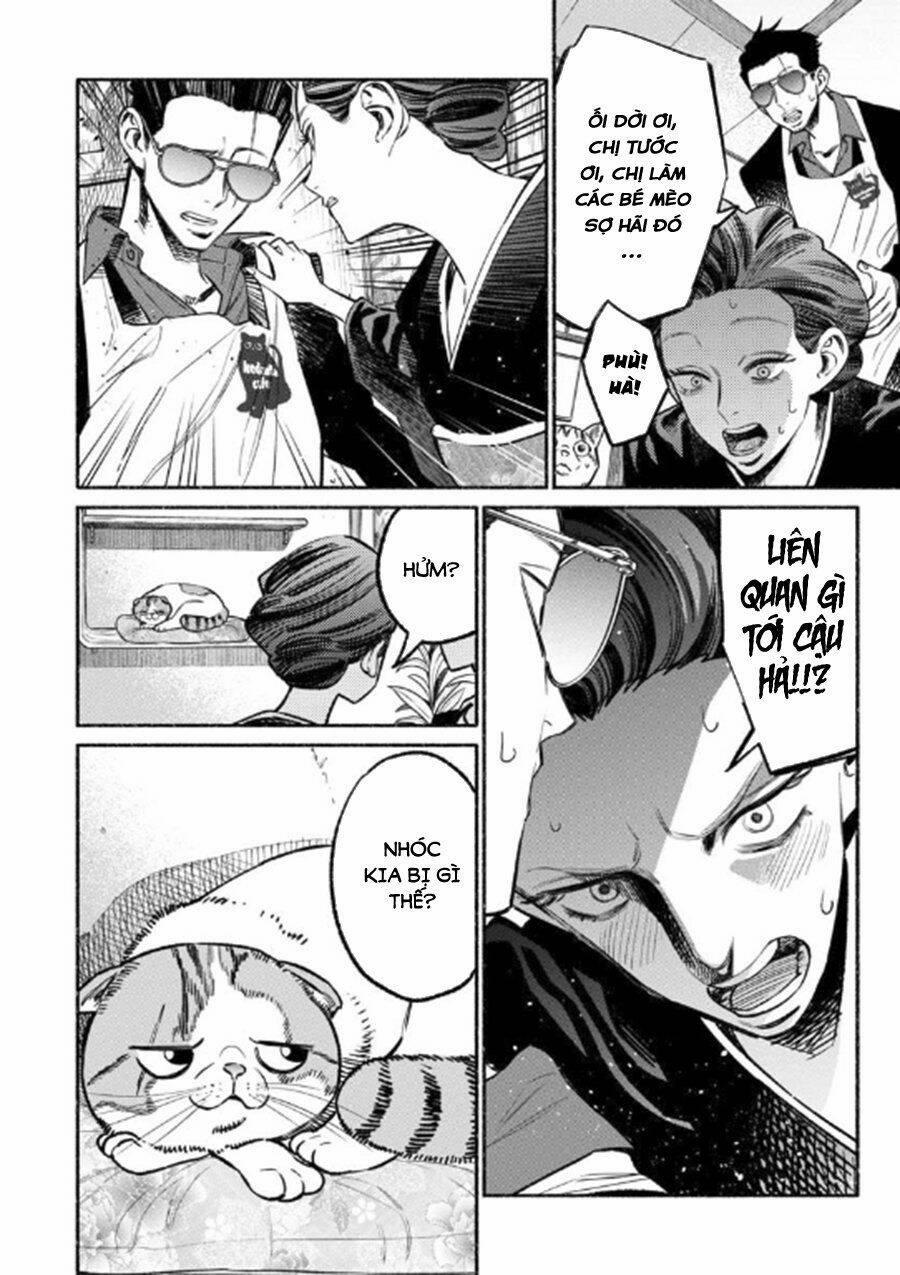 Ông Chồng Yakuza Nội Trợ 55 trang 9