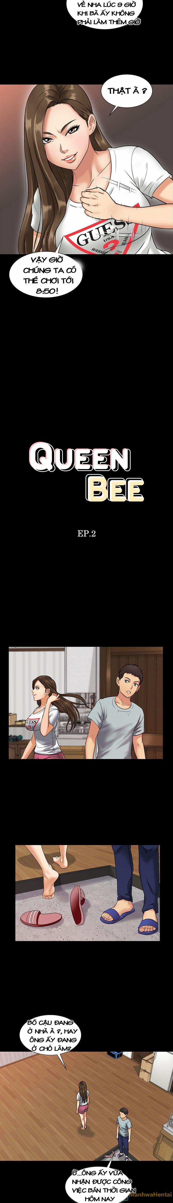 Ong Chúa (Queen Bee) 2 trang 1