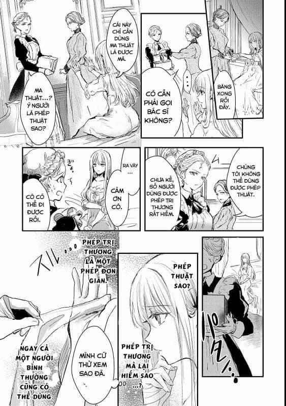 Oujo Denka Wa Oikari No You 3 trang 10