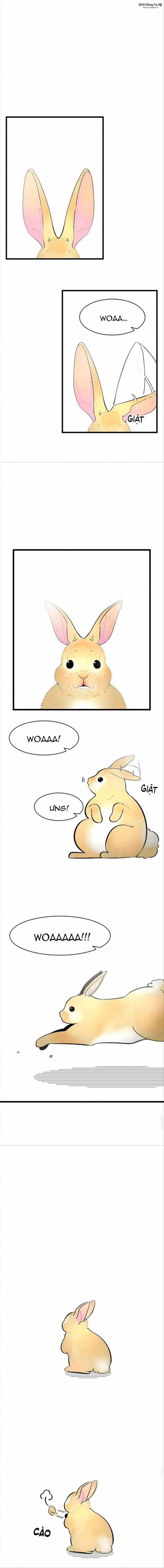Papa Xương Khô Và Mèo Con 11 trang 9