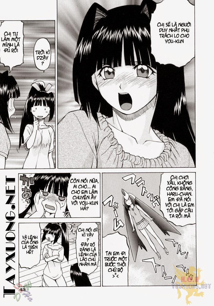 Petit-Roid 8 trang 8