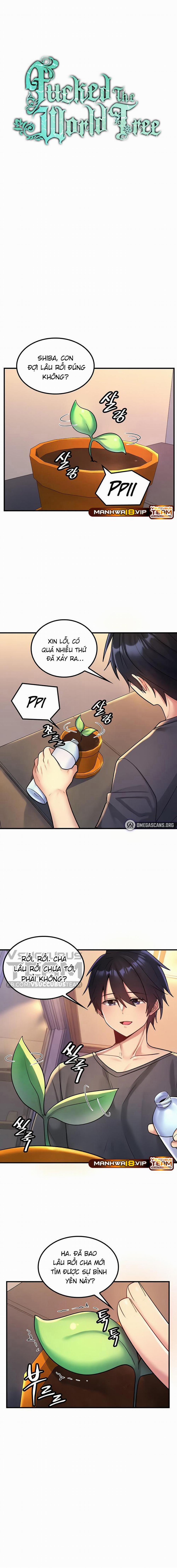 Phịch Cây Thế Giới 37 trang 2