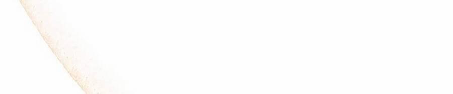 Phương Pháp Sinh Tồn Của Rồng Sắp Ngủm 35 trang 336