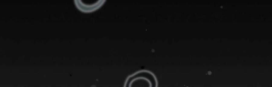 Phương Pháp Sinh Tồn Của Rồng Sắp Ngủm 40 trang 265