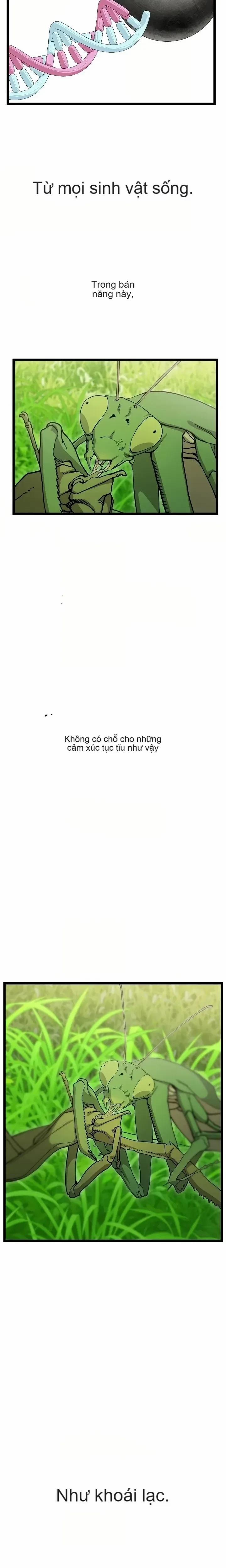 Quốc Bảo Nam Nhân 6 trang 11