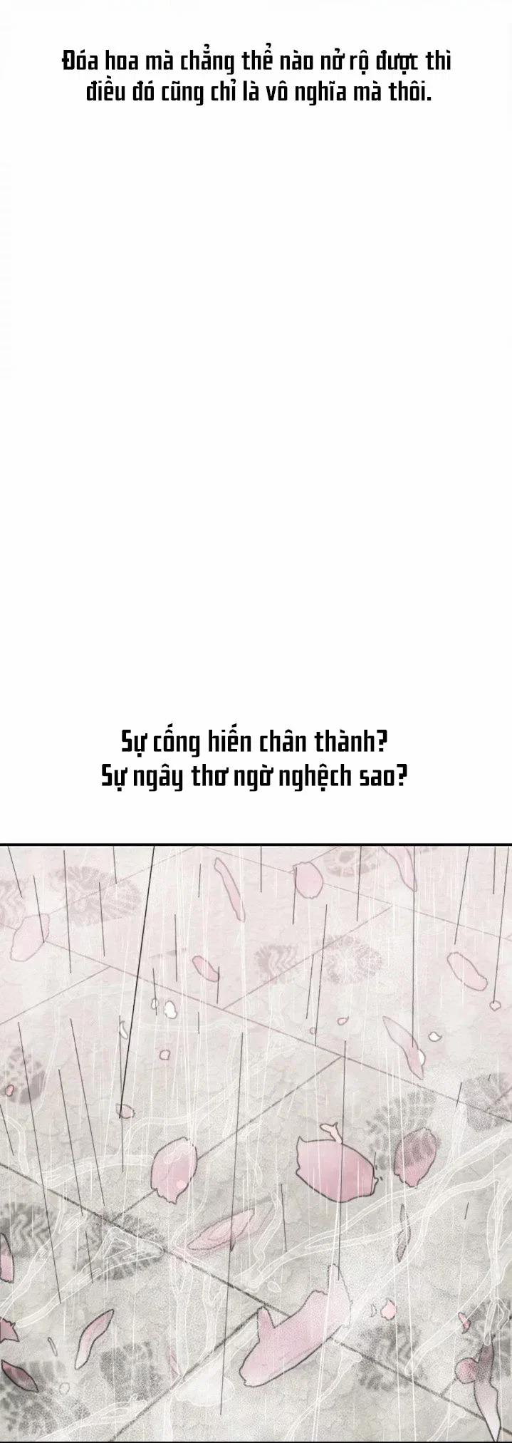 QUÝ CÔ XINH ĐẸP 1 trang 65