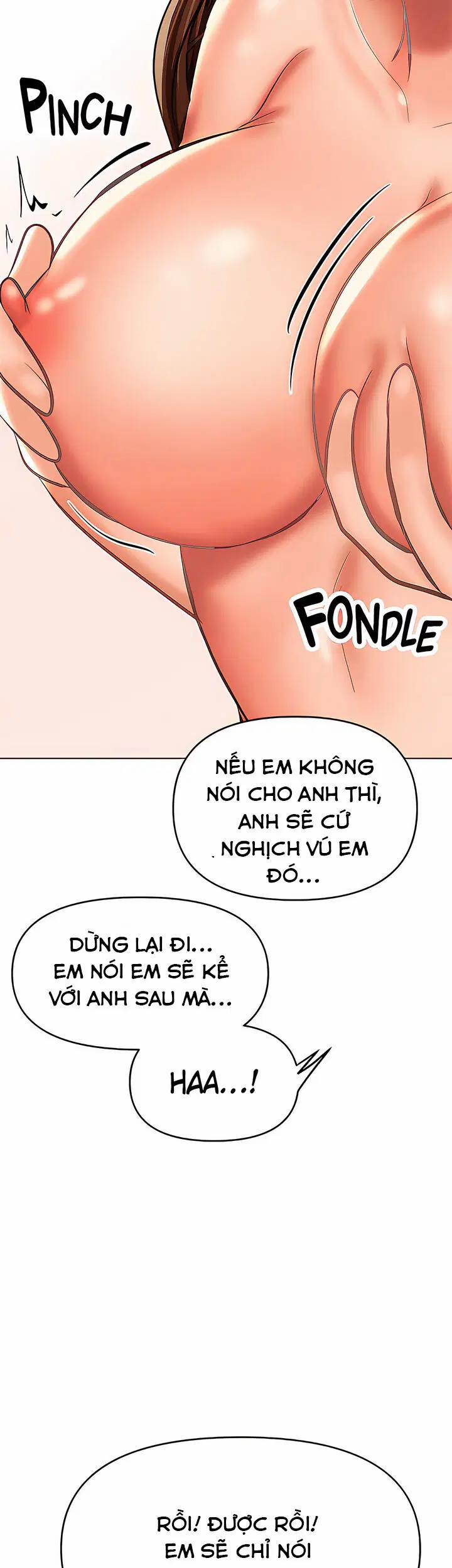 Quỹ tài trợ đặc biệt 28 trang 19