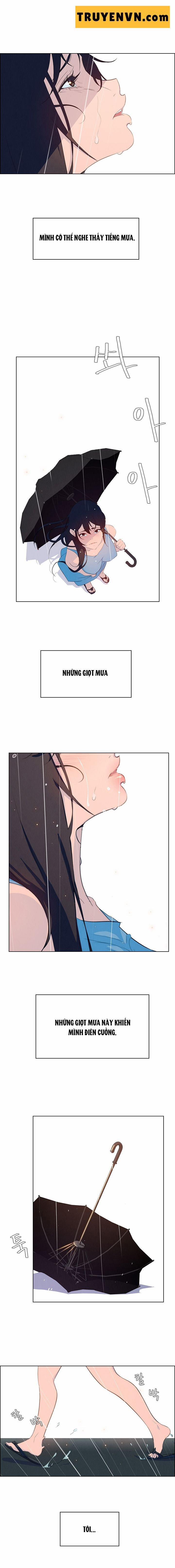 Rain Curtain 25 trang 4