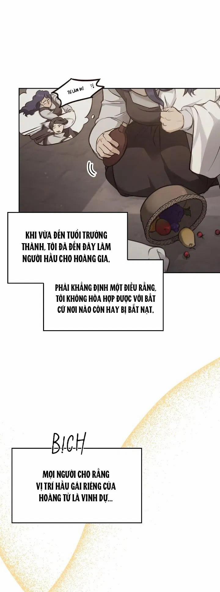 Regas 12 trang 8