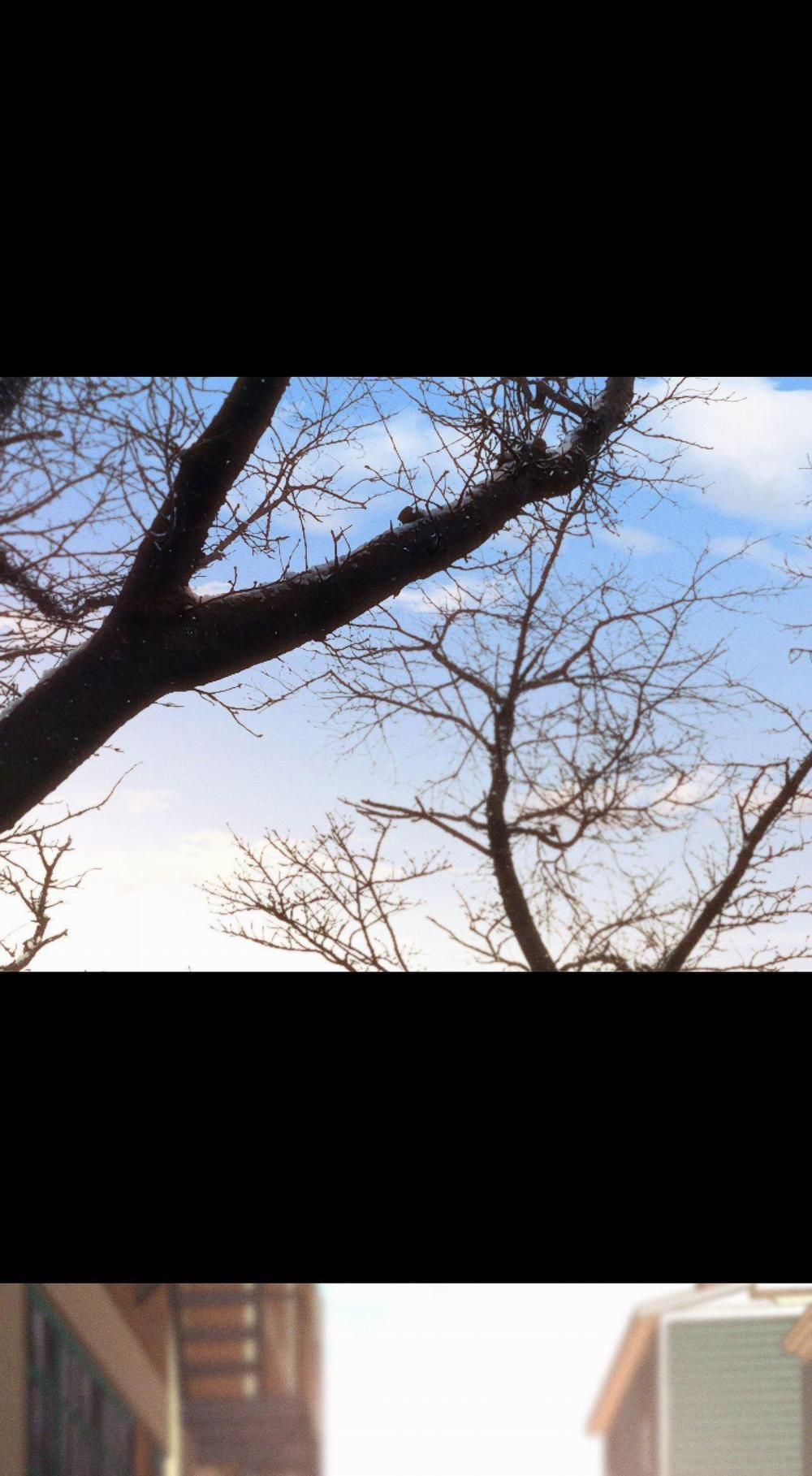 Relay Ss 1.3 trang 1