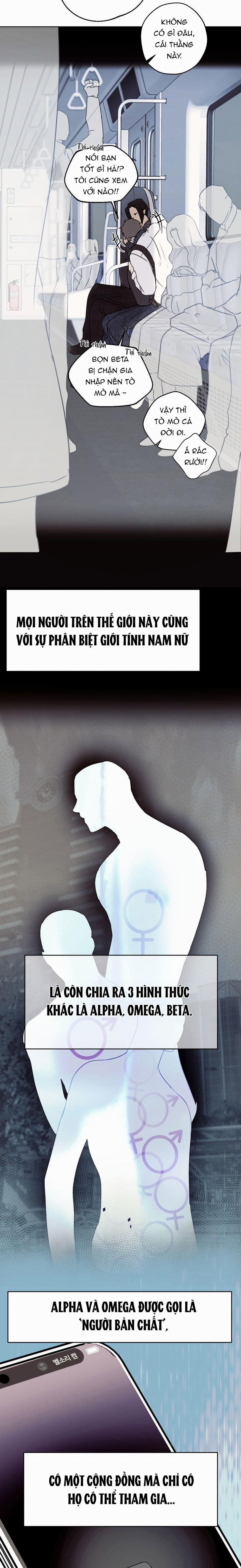 Relay Ss 5.1 báo cáo 1 trang 1