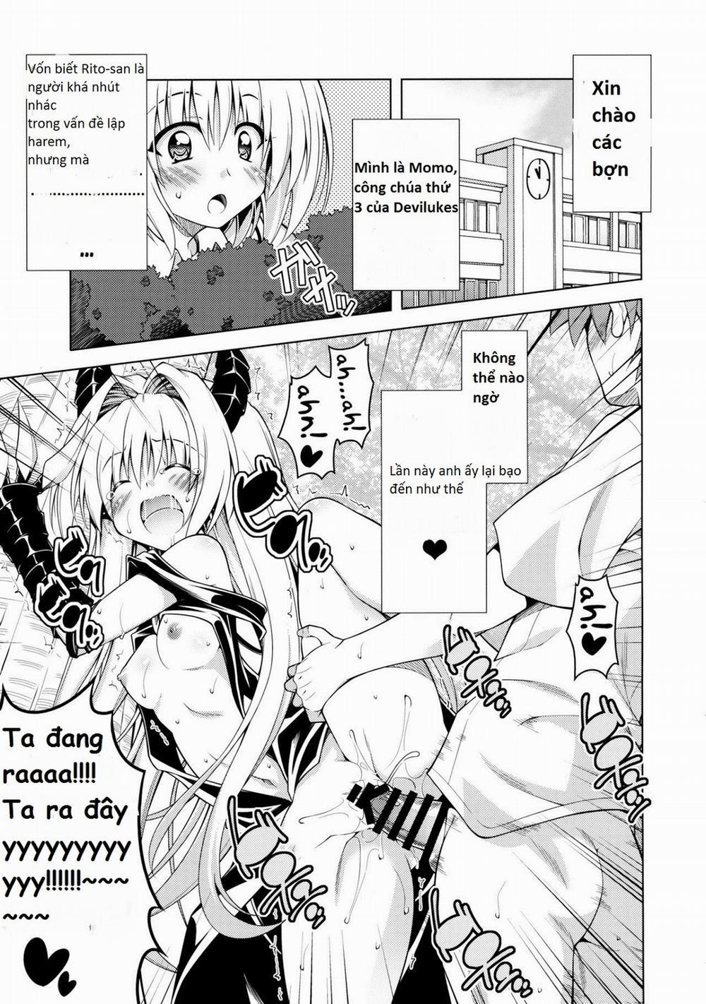 Rito-San No Harem Seikatsu 4 (To Love-Ru) Oneshot trang 2
