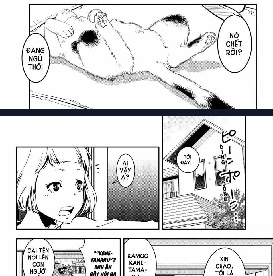 Ron Kamonohashi: Thám Tử Loạn Trí 2 trang 18