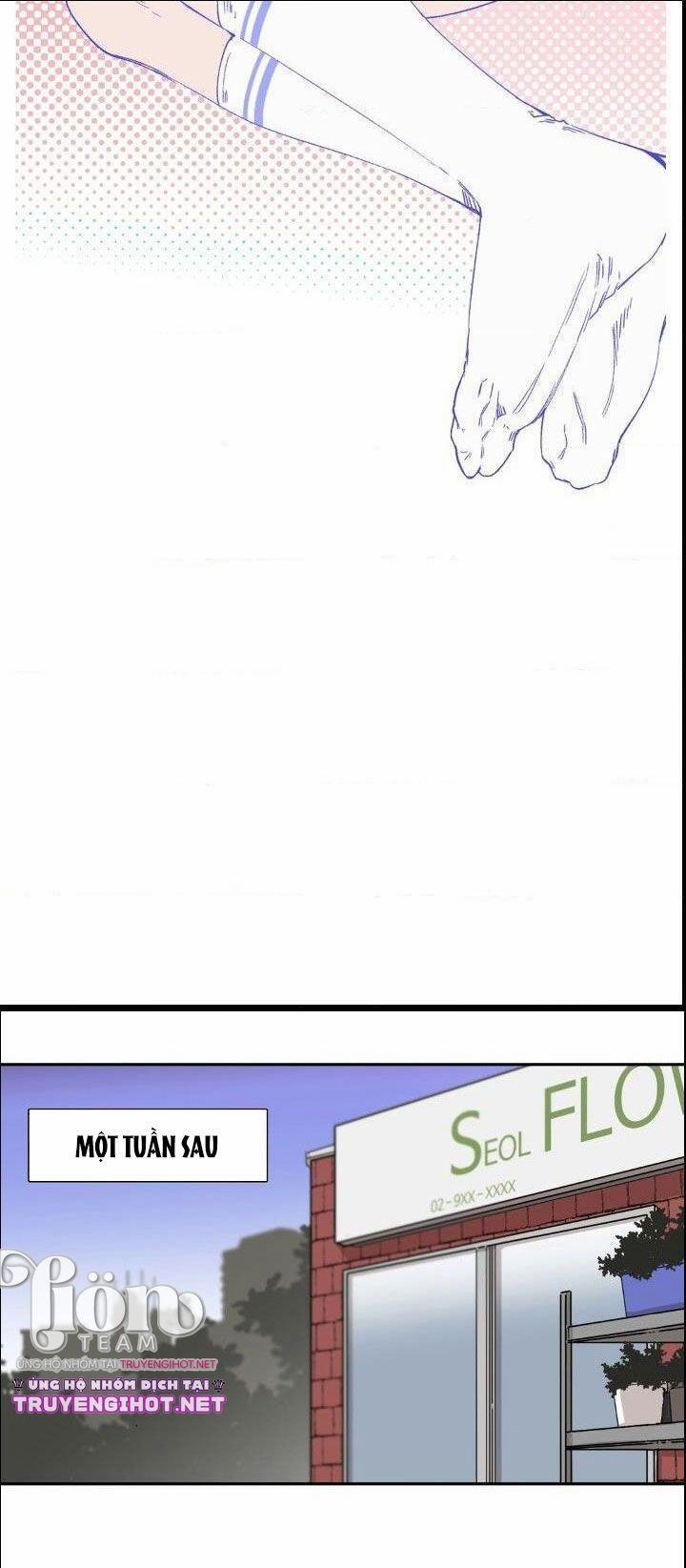 S_Flower 24.1 trang 13