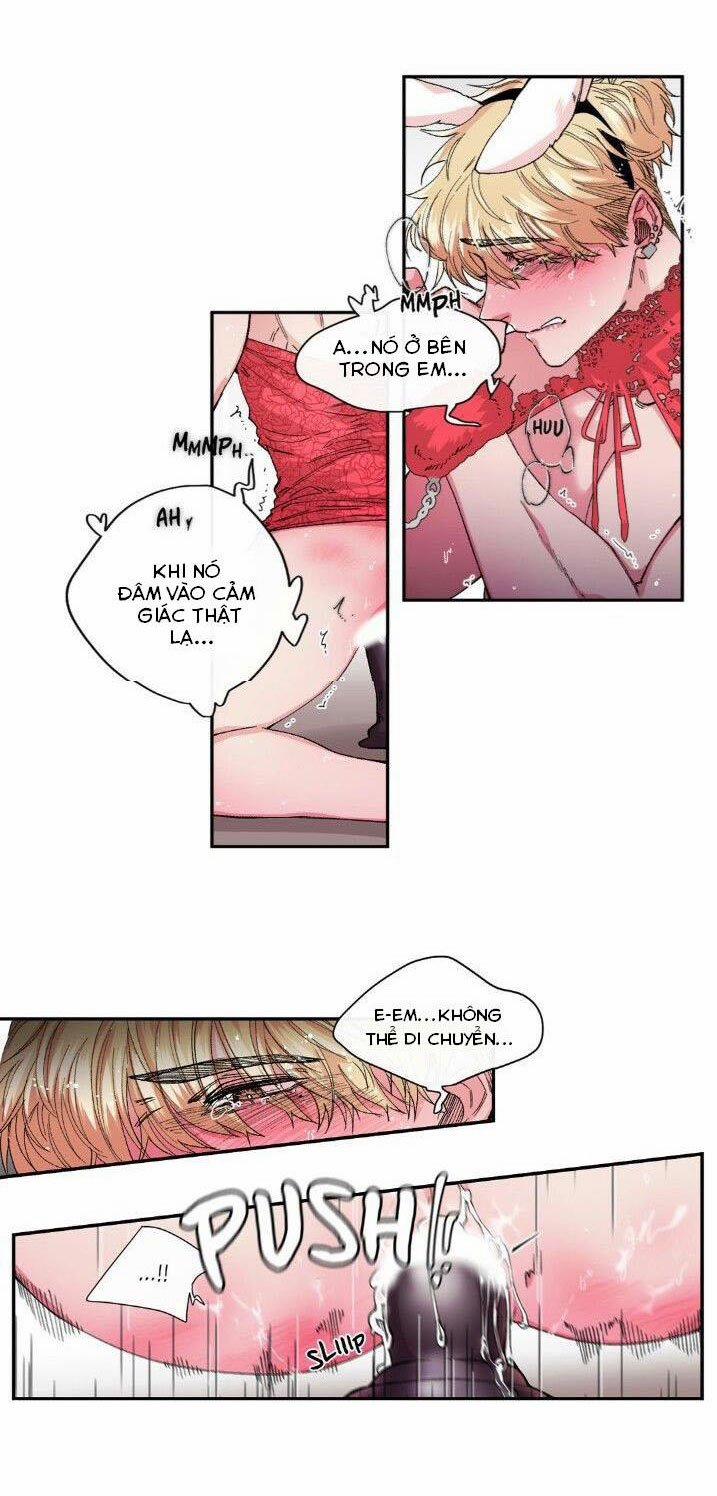 S_Flower 26.1 trang 6