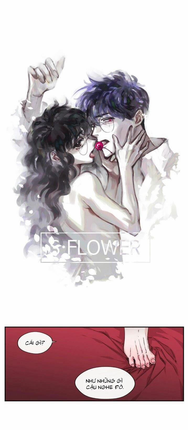 S_Flower 28.1 trang 8