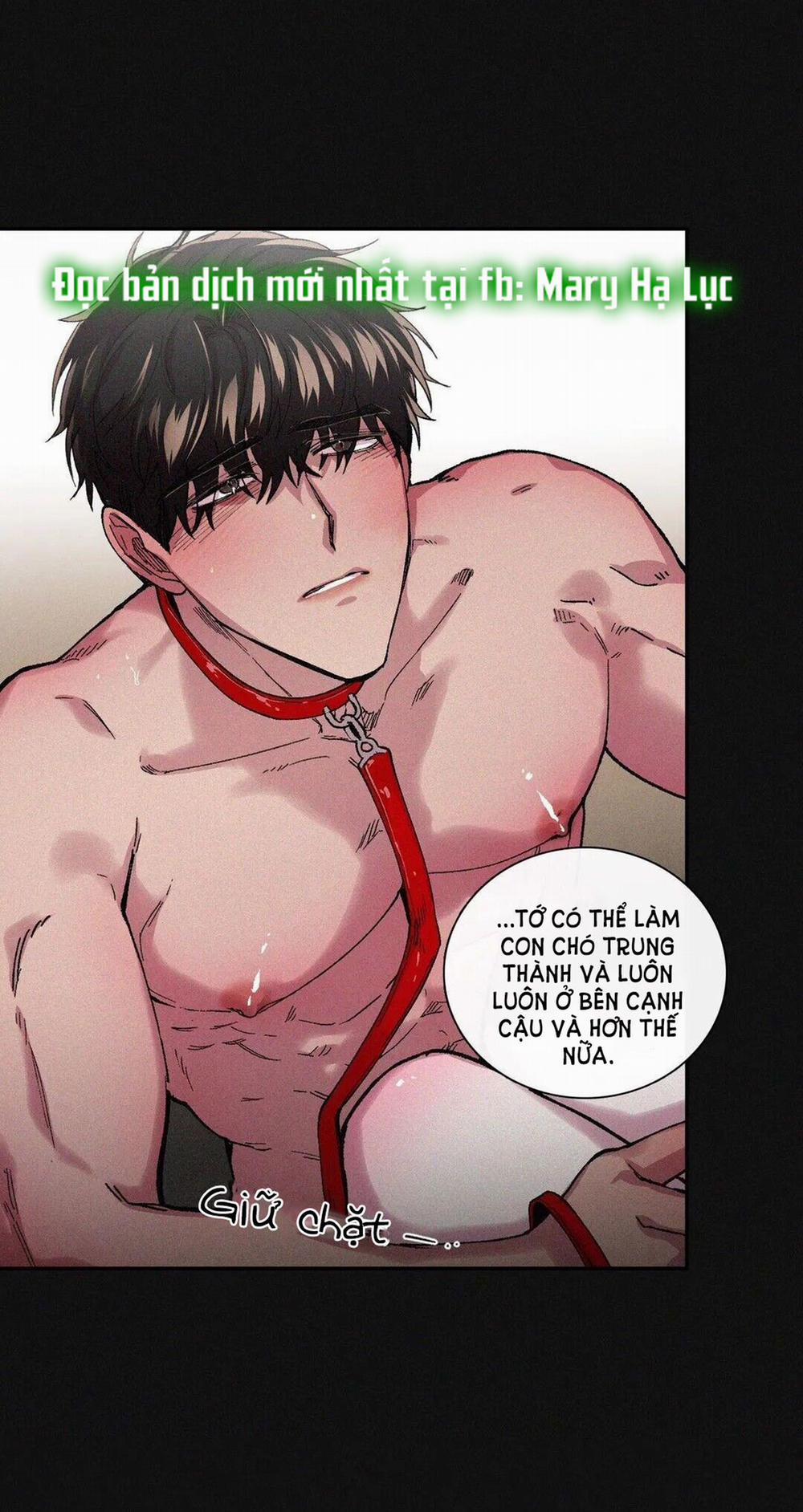S_Flower 38.2 trang 20