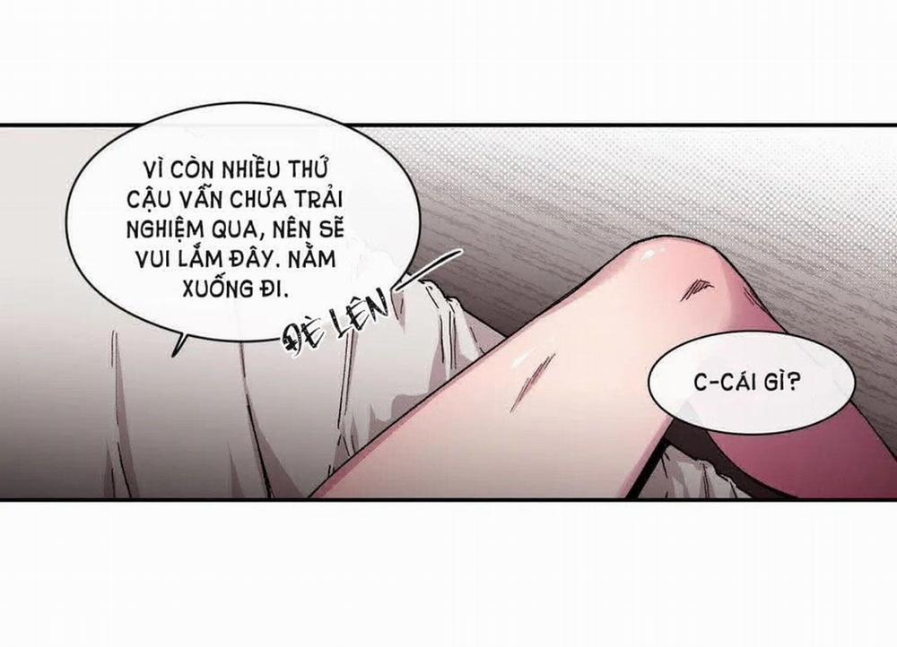 S_Flower 41.1 trang 27