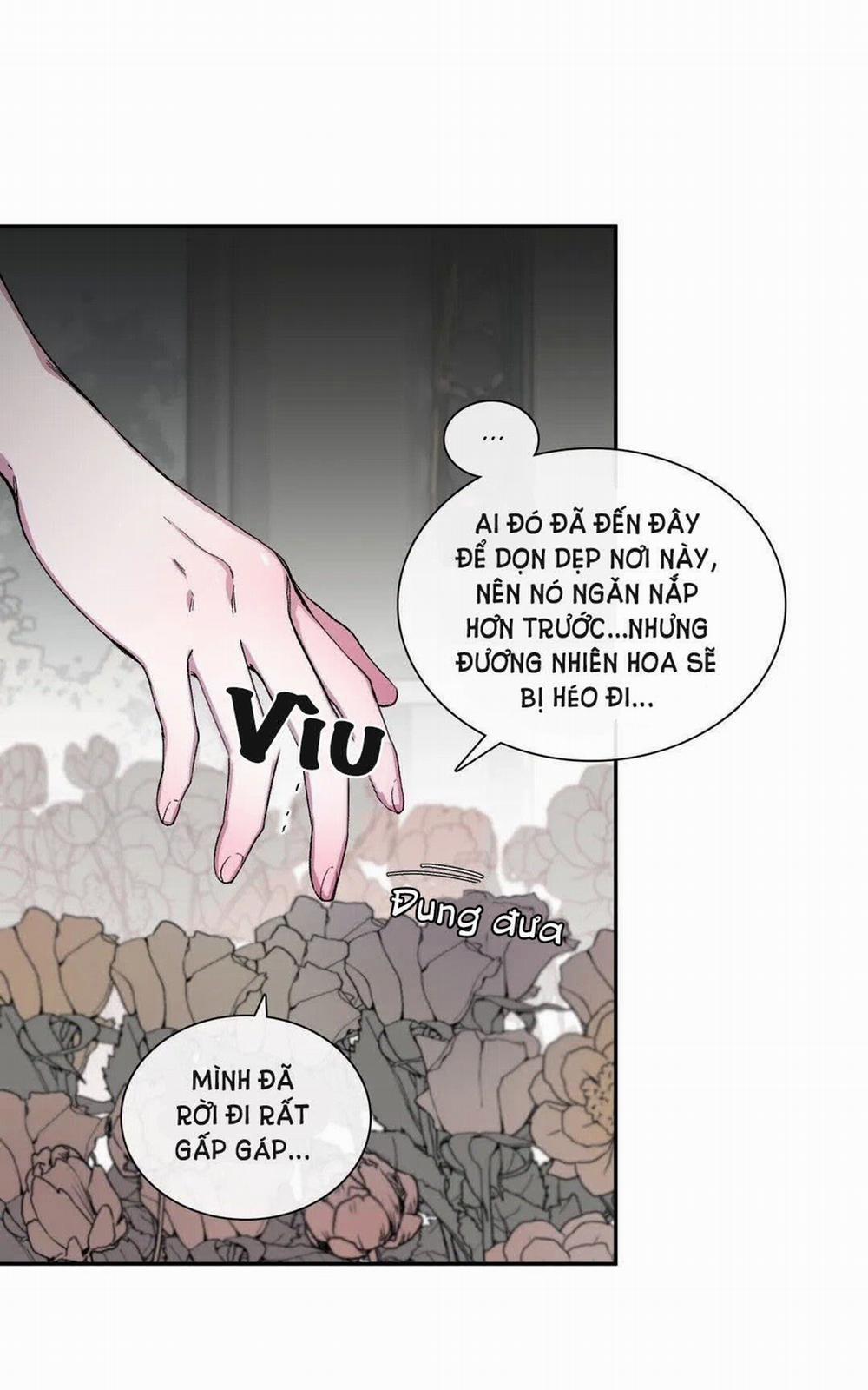 S_Flower 41.2 trang 19