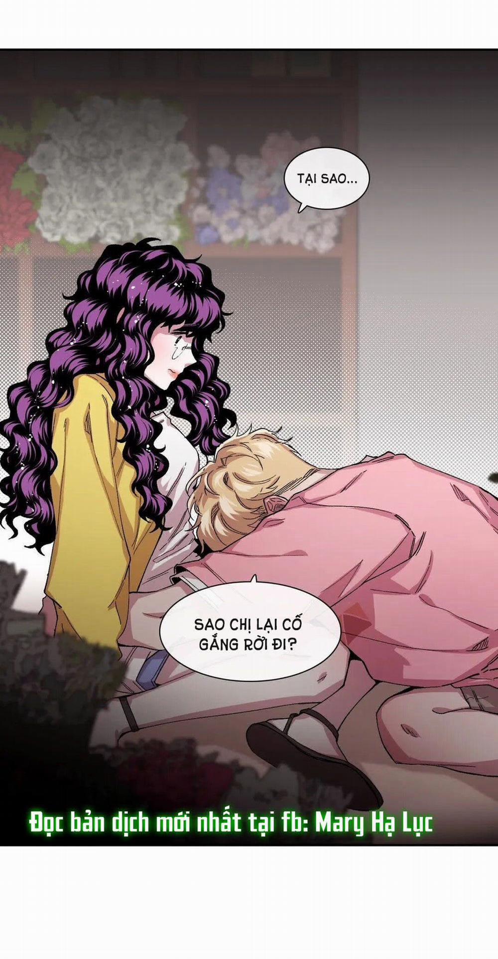 S_Flower 41.2 trang 27