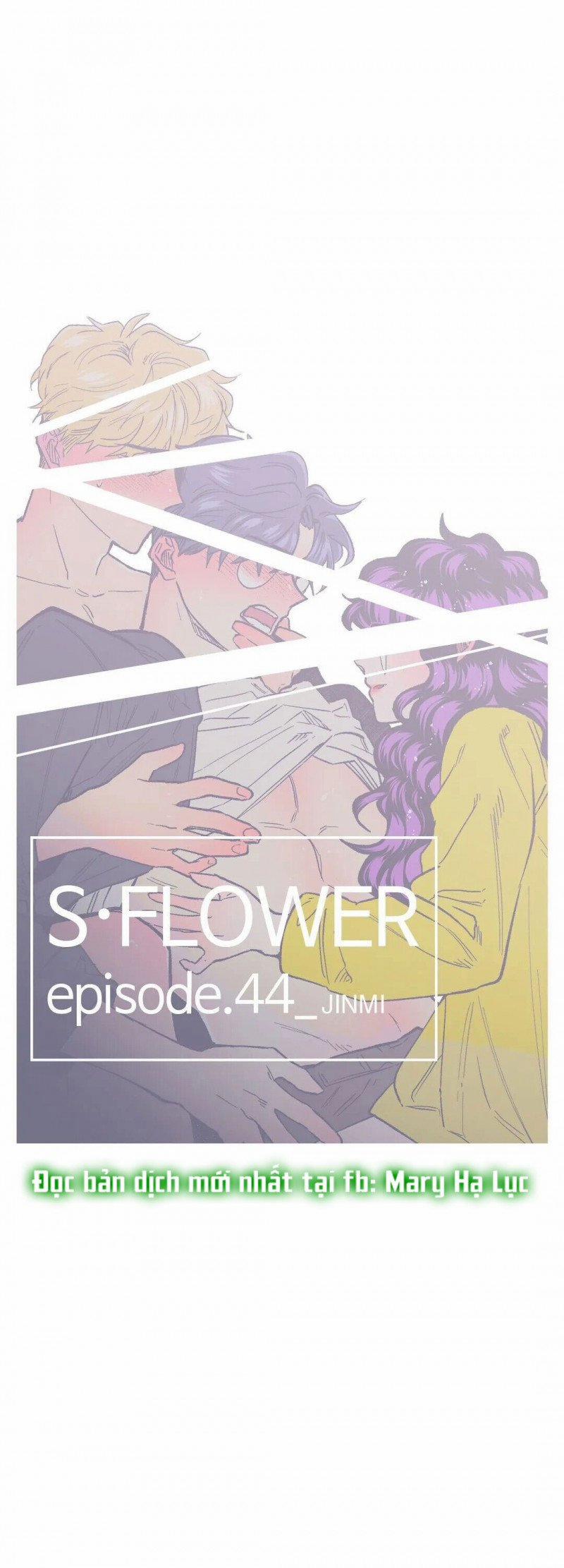 S_Flower 44 trang 4