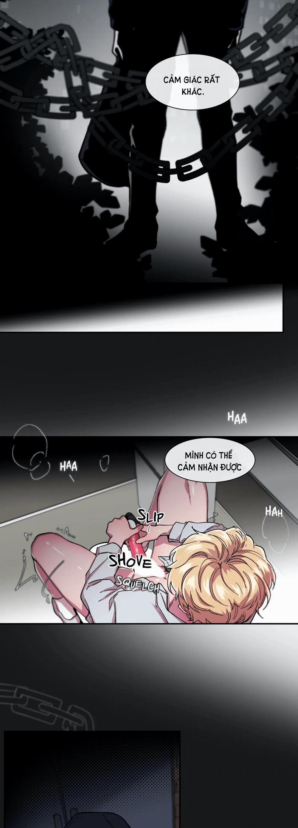 S_Flower 53.1 trang 29