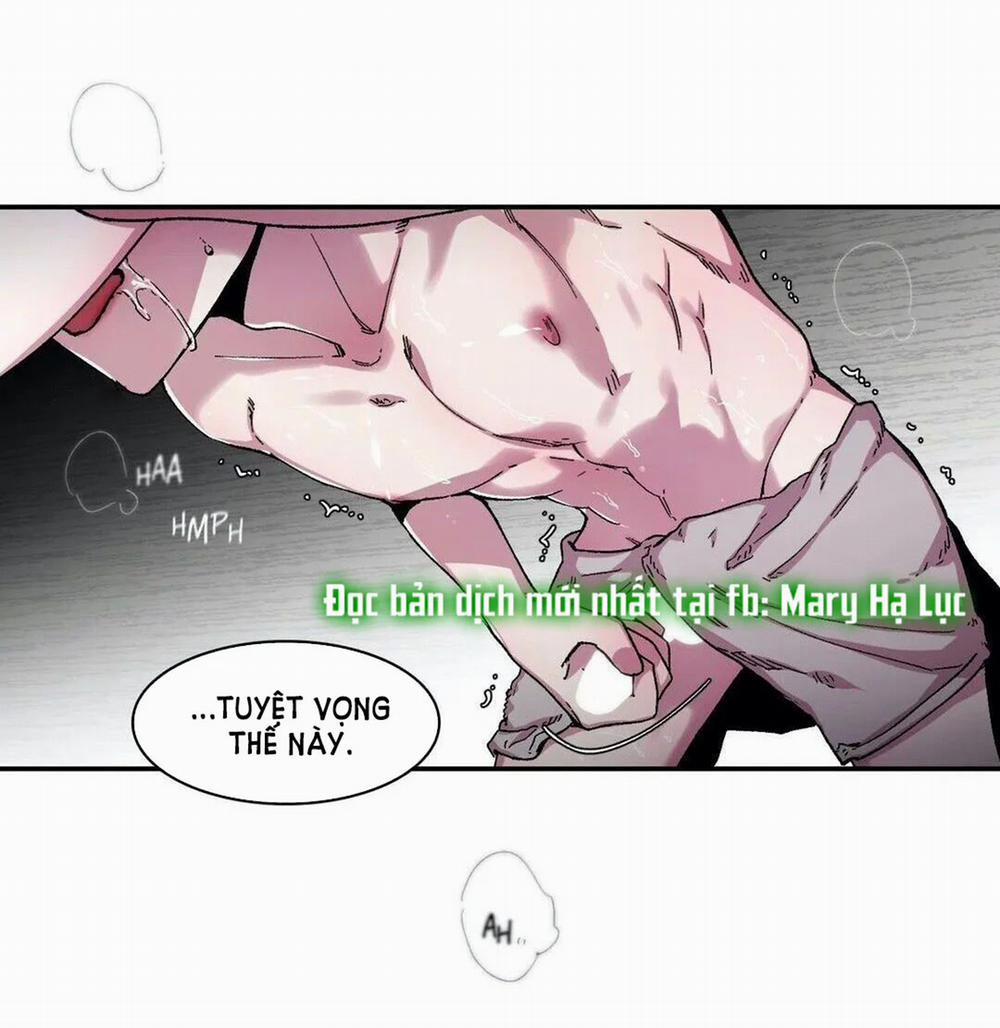 S_Flower 55.2 trang 3