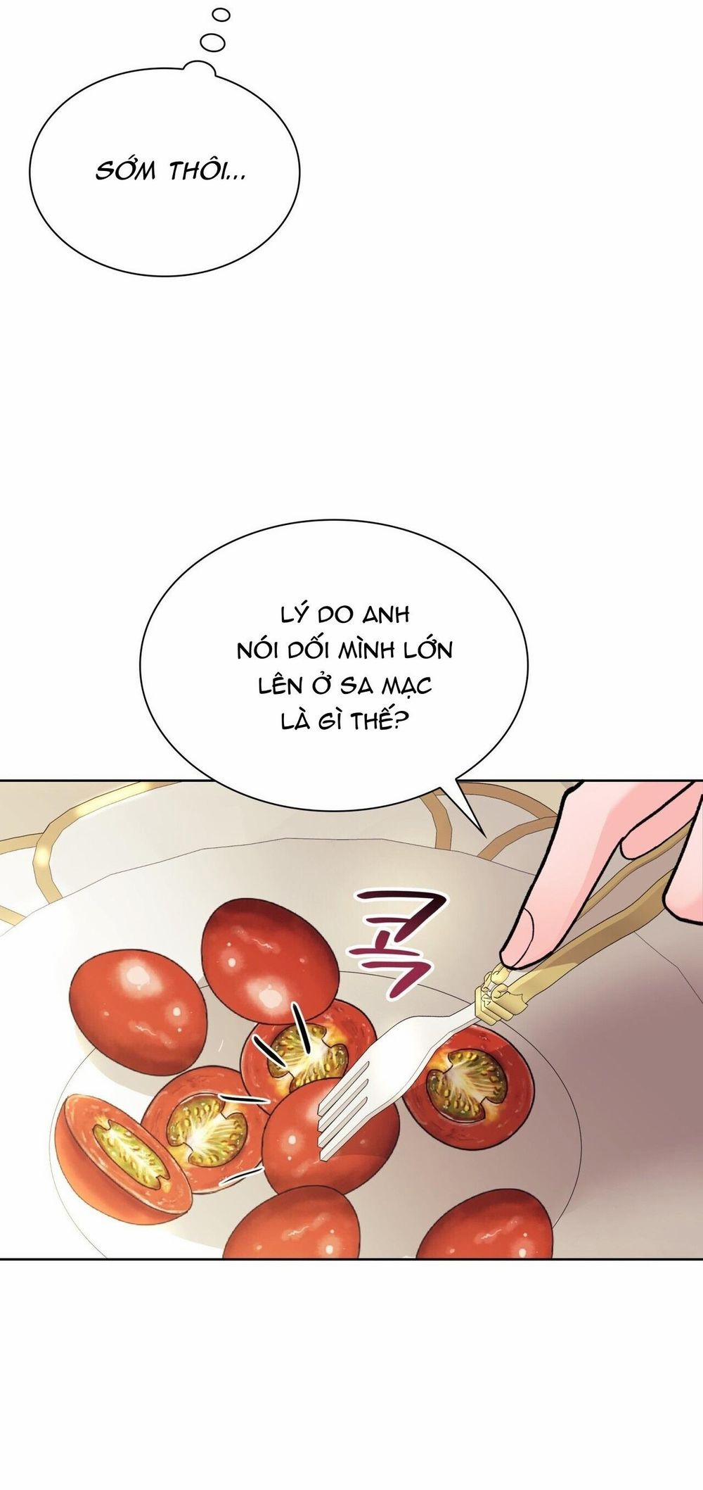 Sa Mạc Ẩm Thấp 15 trang 41