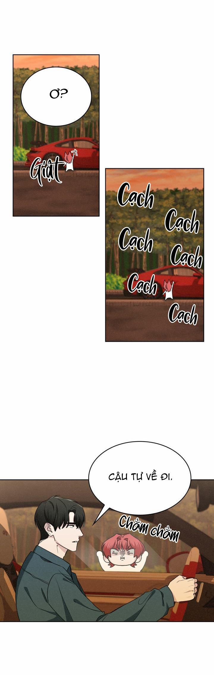 Săn Cáo 11 trang 12