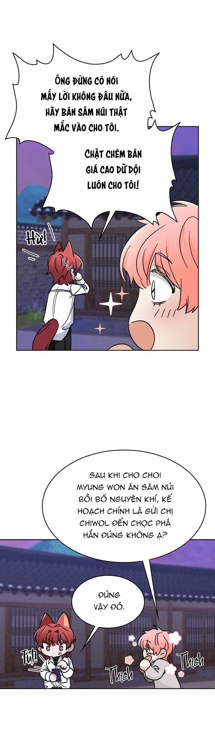 Săn Cáo 11 trang 24