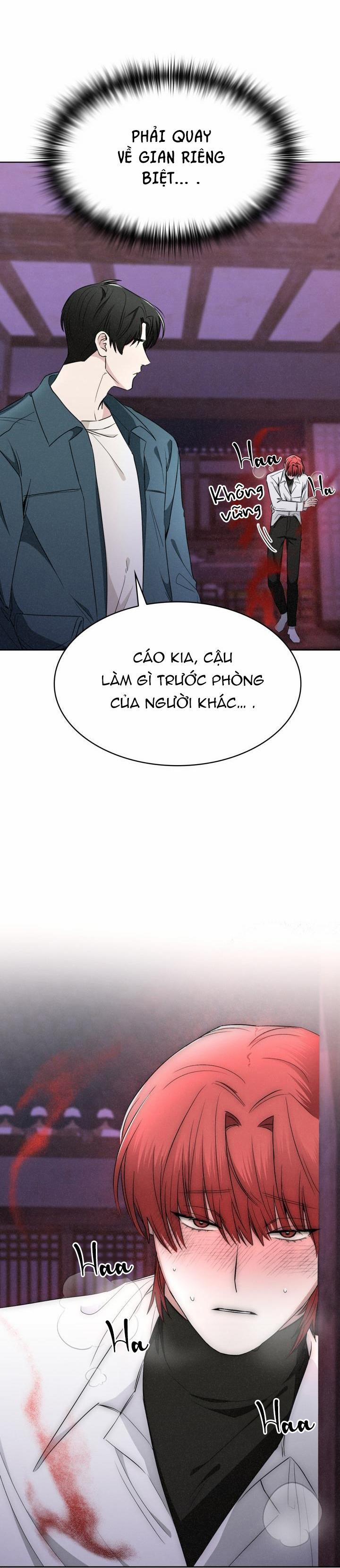 Săn Cáo 11 trang 37