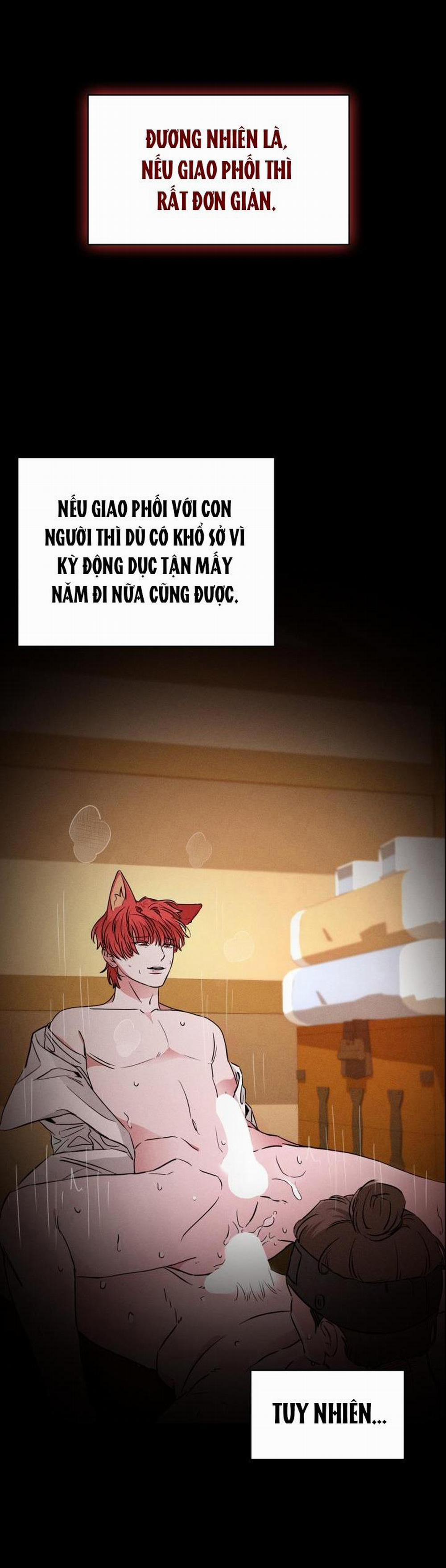 Săn Cáo 3 trang 36