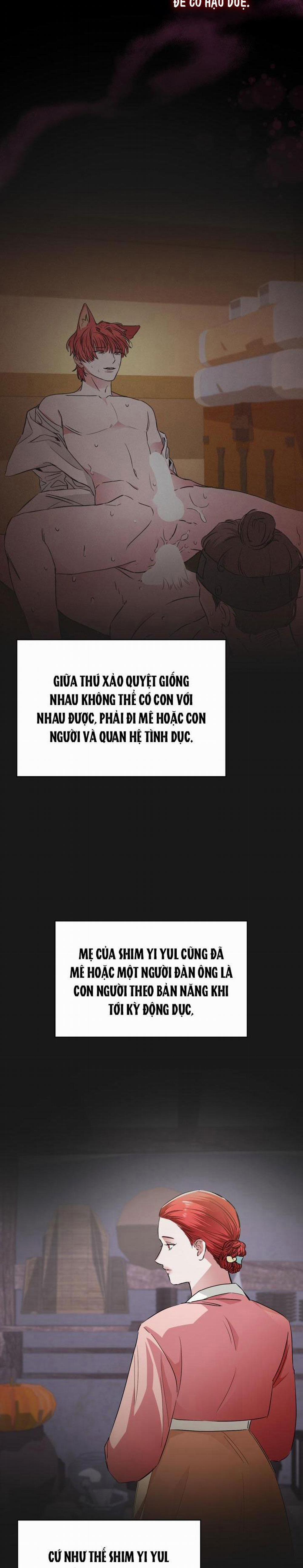 Săn Cáo 4 trang 23