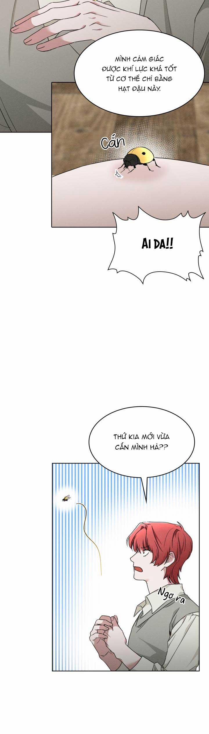 Săn Cáo 8 trang 35