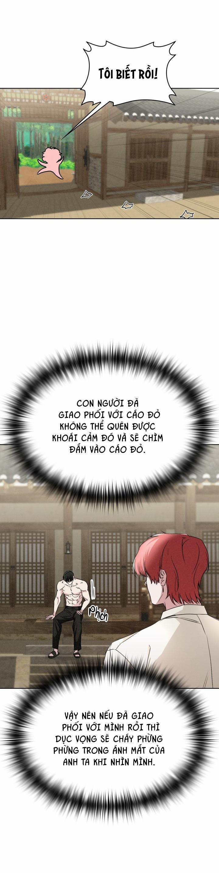 Săn Cáo 9 trang 25