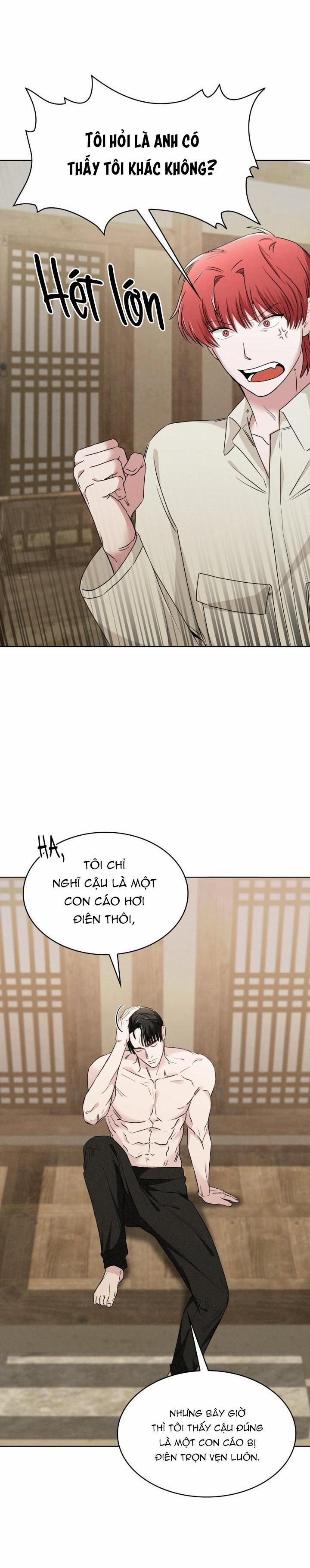 Săn Cáo 9 trang 28