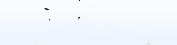 Sát Thủ Mạnh Nhất Chuyển Sinh Sang Thế Giới Khác 45 trang 293