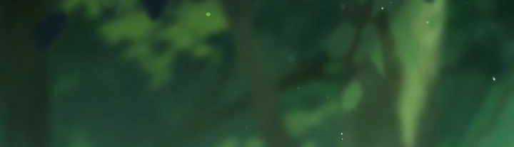 Sát Thủ Mạnh Nhất Chuyển Sinh Sang Thế Giới Khác 48 trang 256