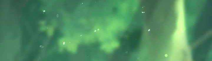 Sát Thủ Mạnh Nhất Chuyển Sinh Sang Thế Giới Khác 48 trang 258