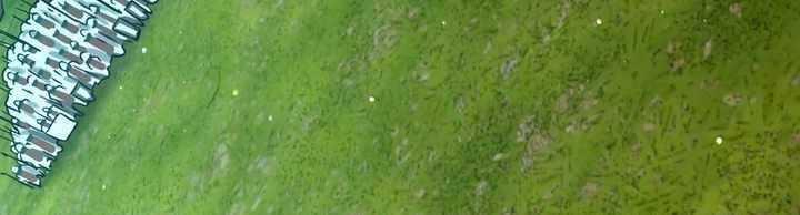 Sát Thủ Mạnh Nhất Chuyển Sinh Sang Thế Giới Khác 48 trang 432