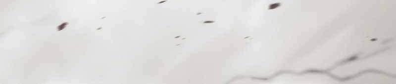 Sát Thủ Mạnh Nhất Chuyển Sinh Sang Thế Giới Khác 55 trang 119